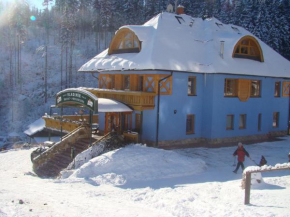 Отель Hotel Vladimír, Янске Лазне